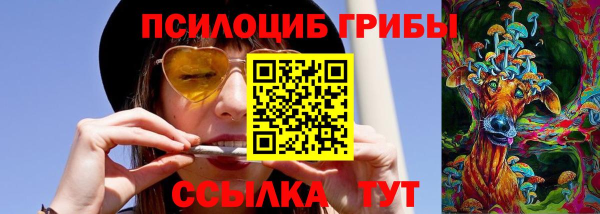 Тейково  Псилоцибиновые грибы GOLDEN TEACHER  Вход с VPN 